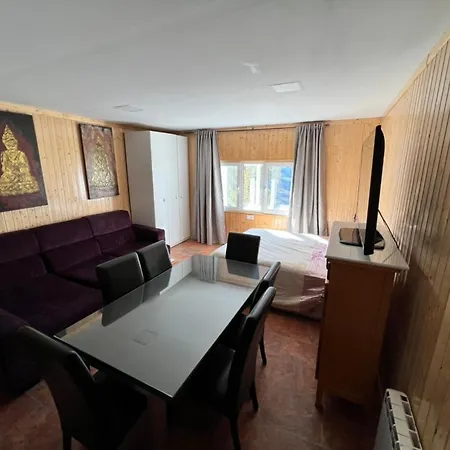 Sierraneveada Copos Altos B Apartment *